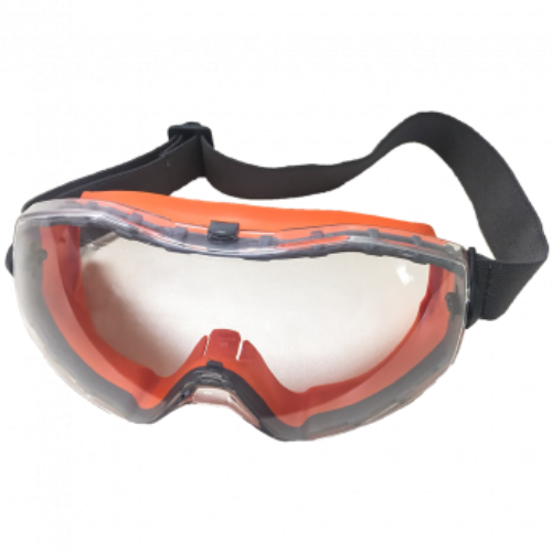 venus safety goggles